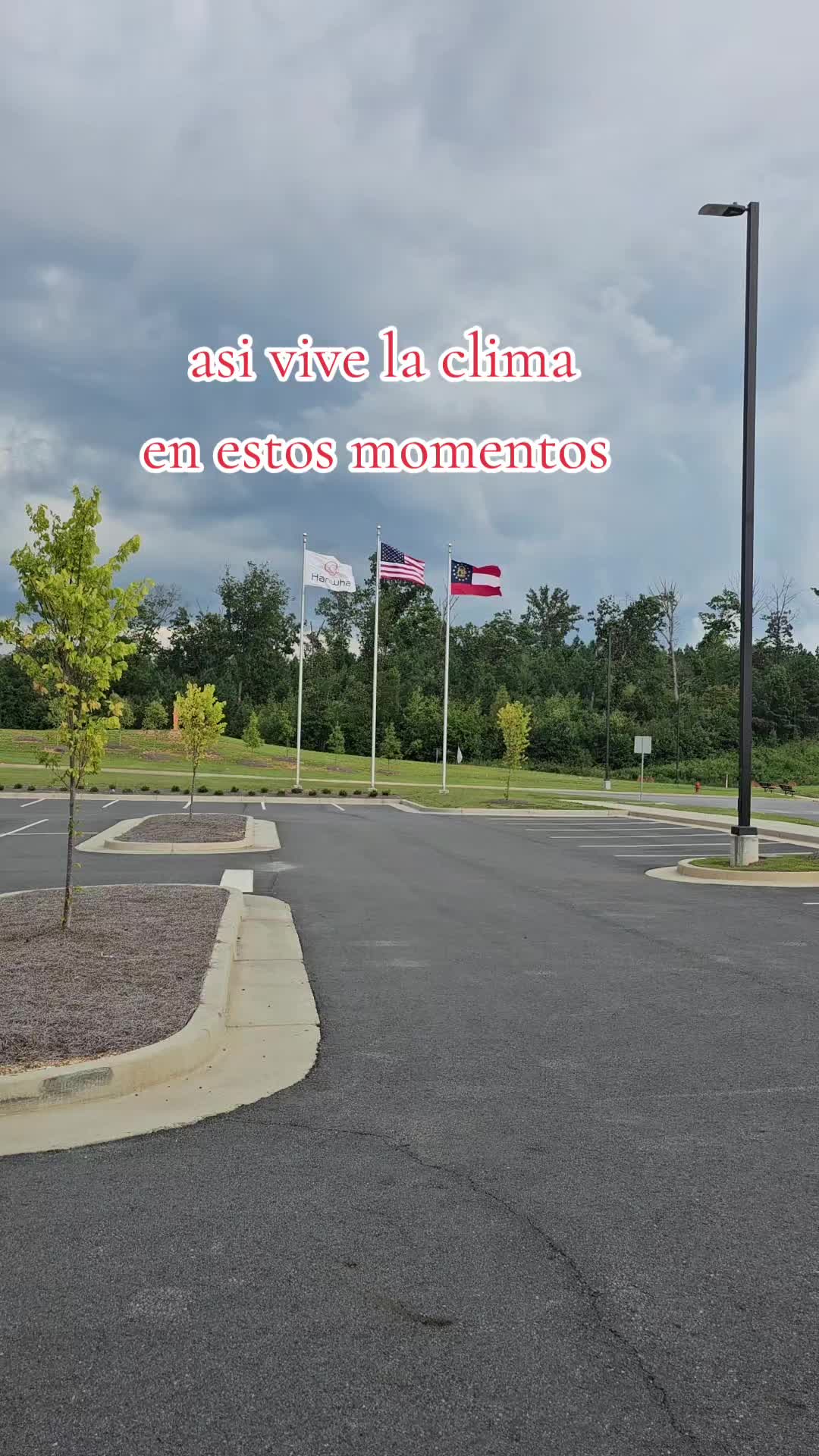 @luisjuarez691
