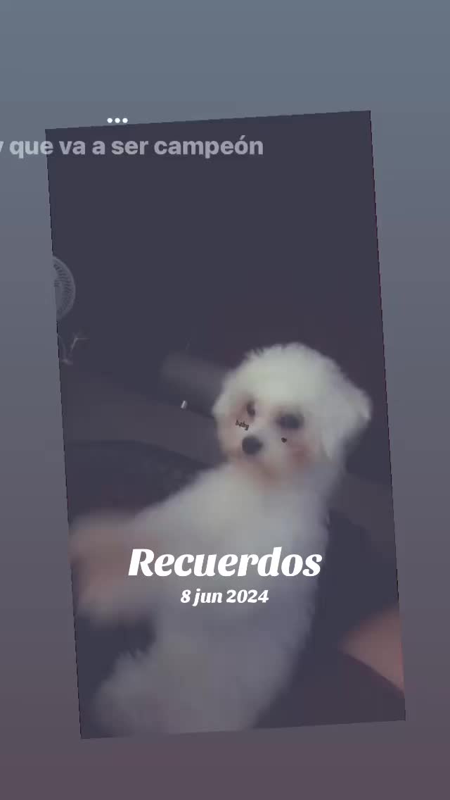 @Jadiany🤍🩷