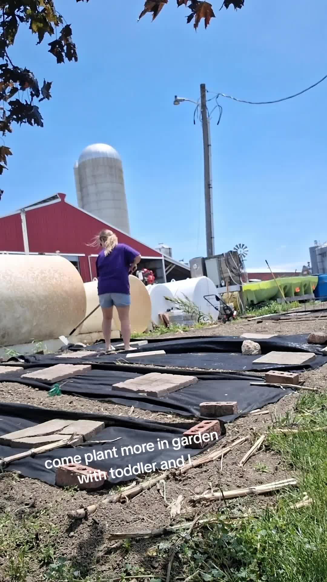 @Taylor | Sah{farm}m