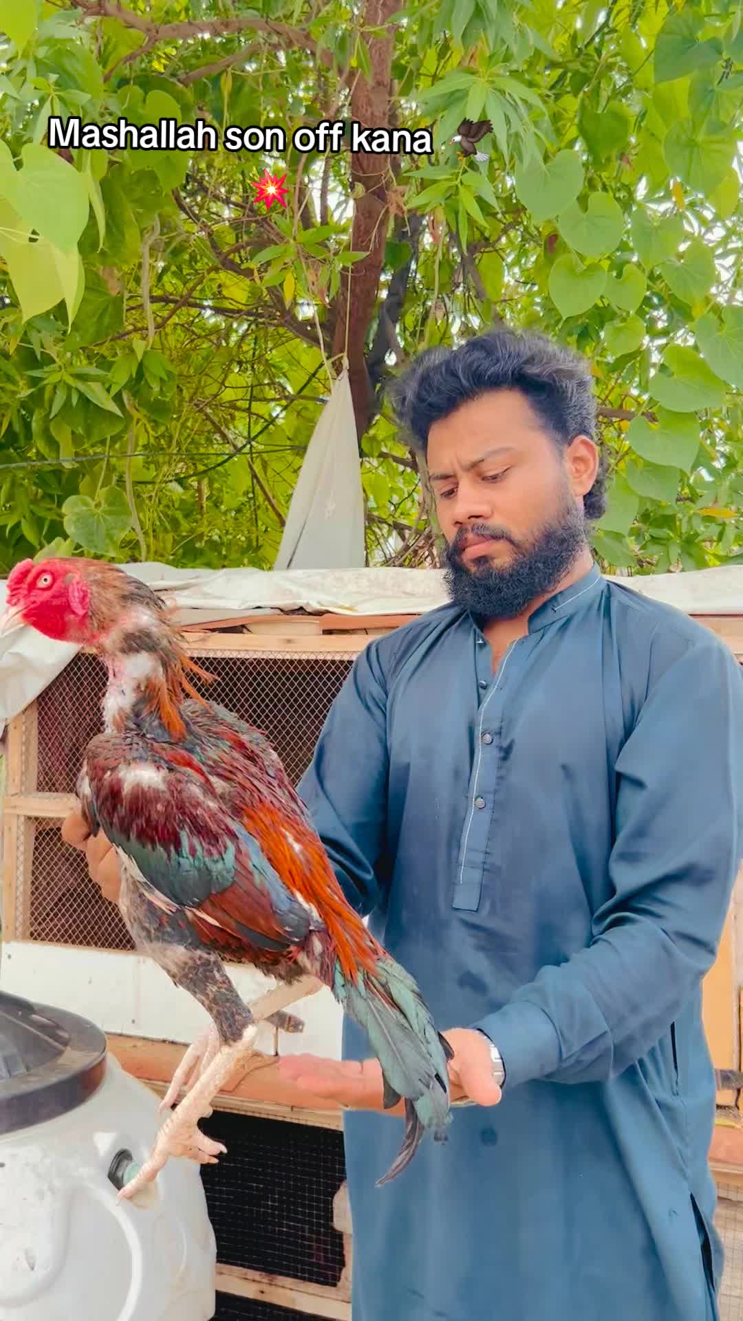 @شوق سرگودھا آ لے دا🔥🦅🐦&zwj;🔥😈