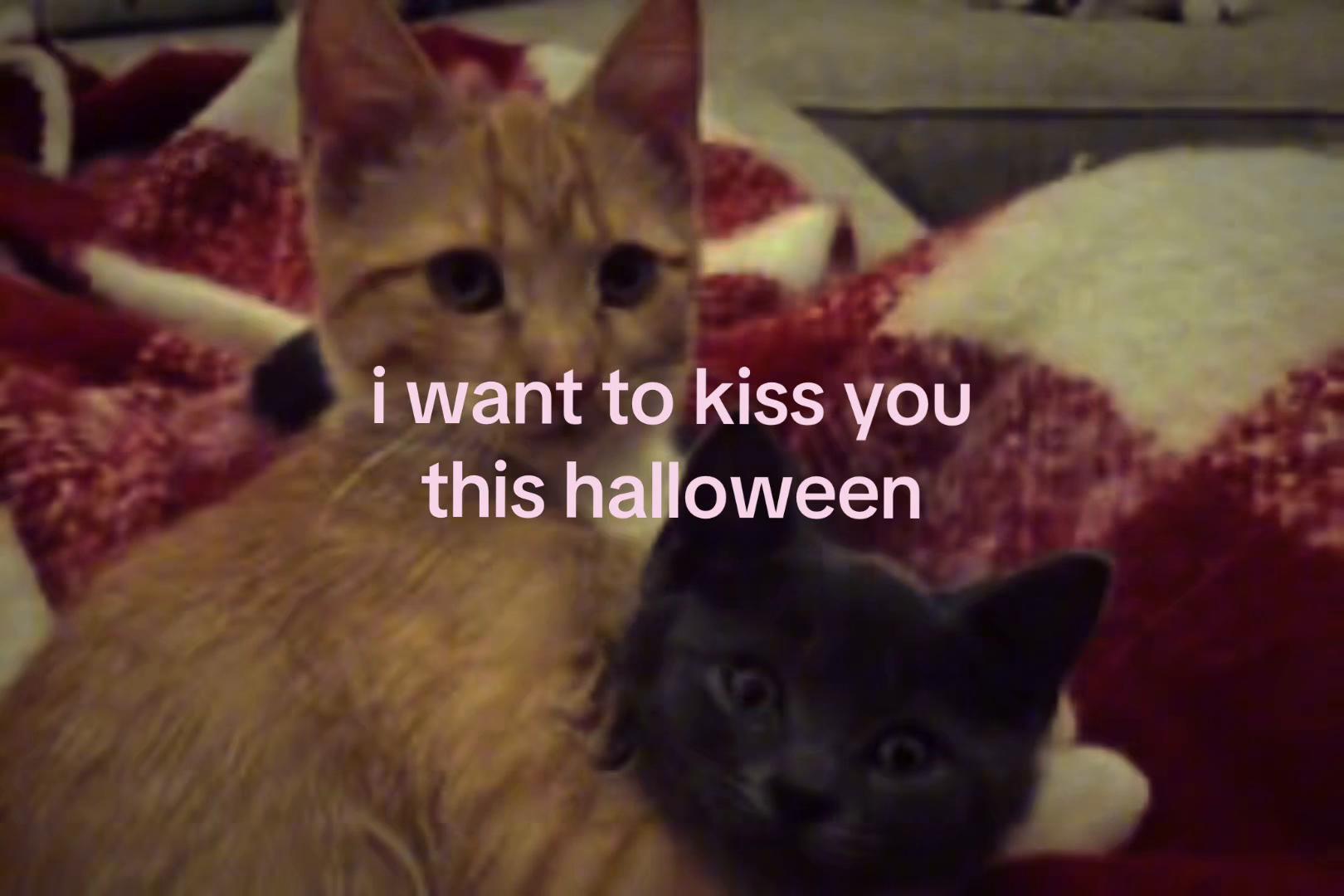 @sxalenz