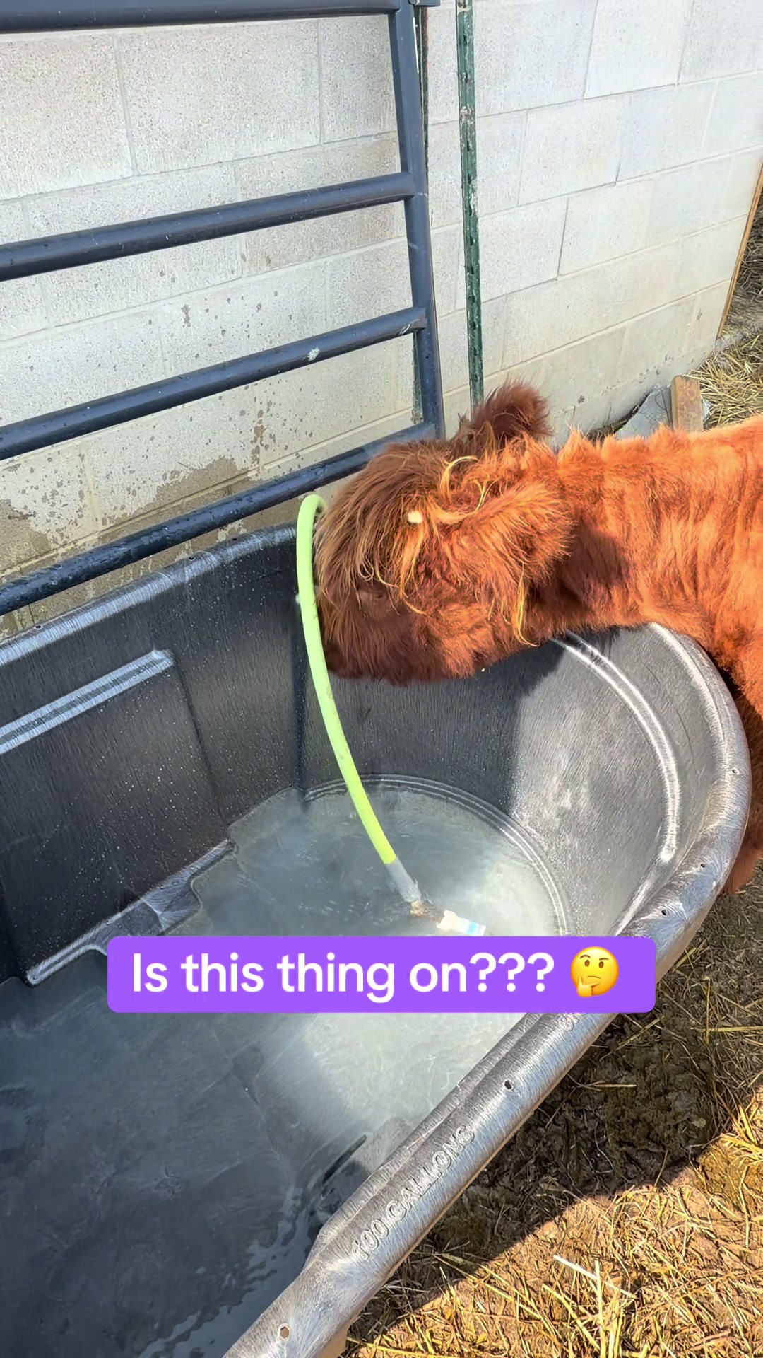 @nofzingerranch