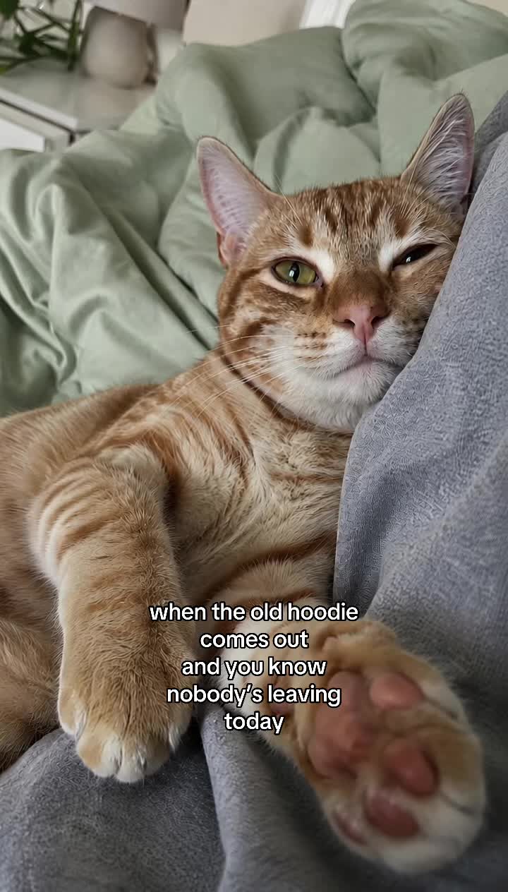 @Relatable Paws