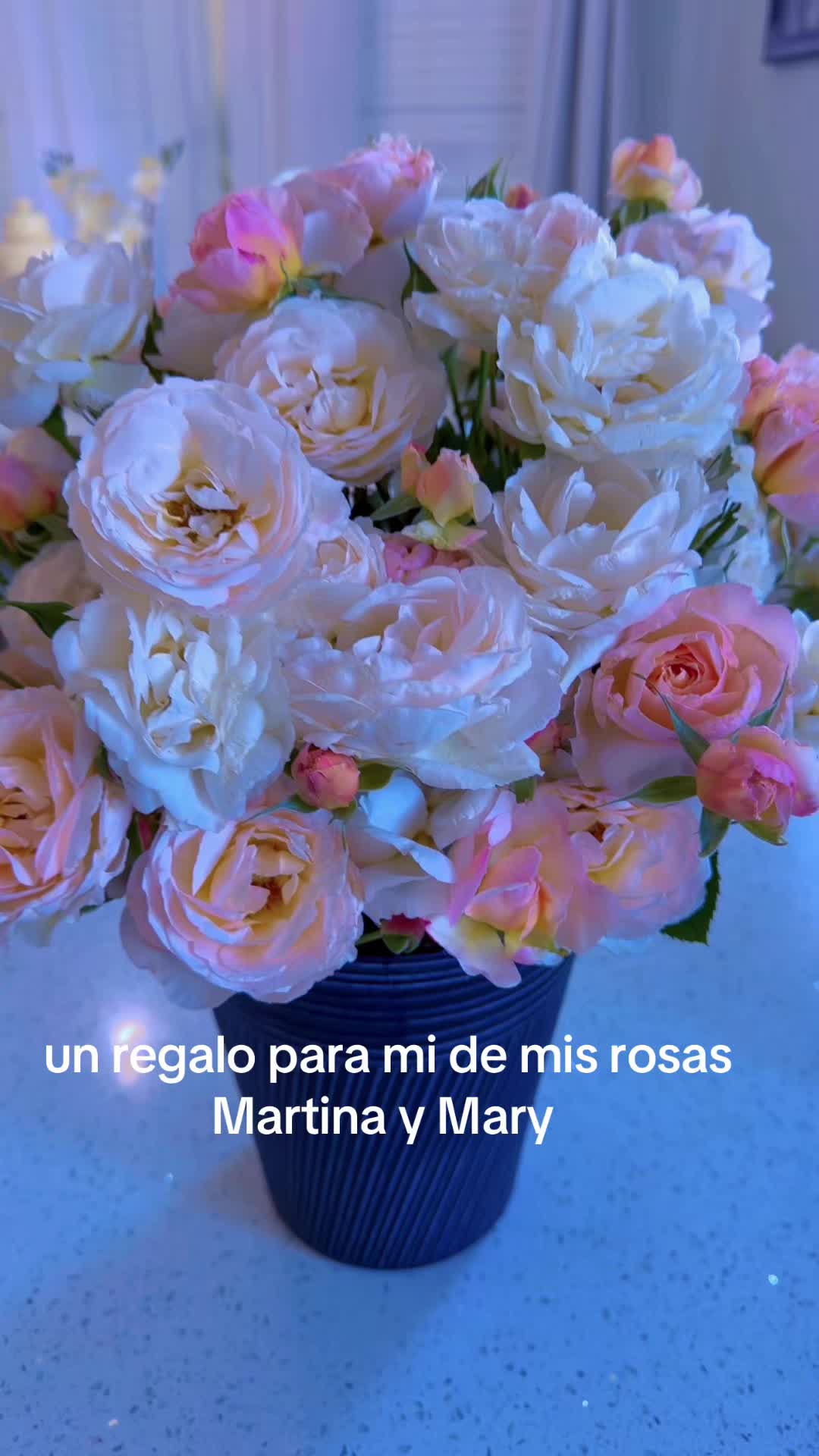 @Margarita Valdez