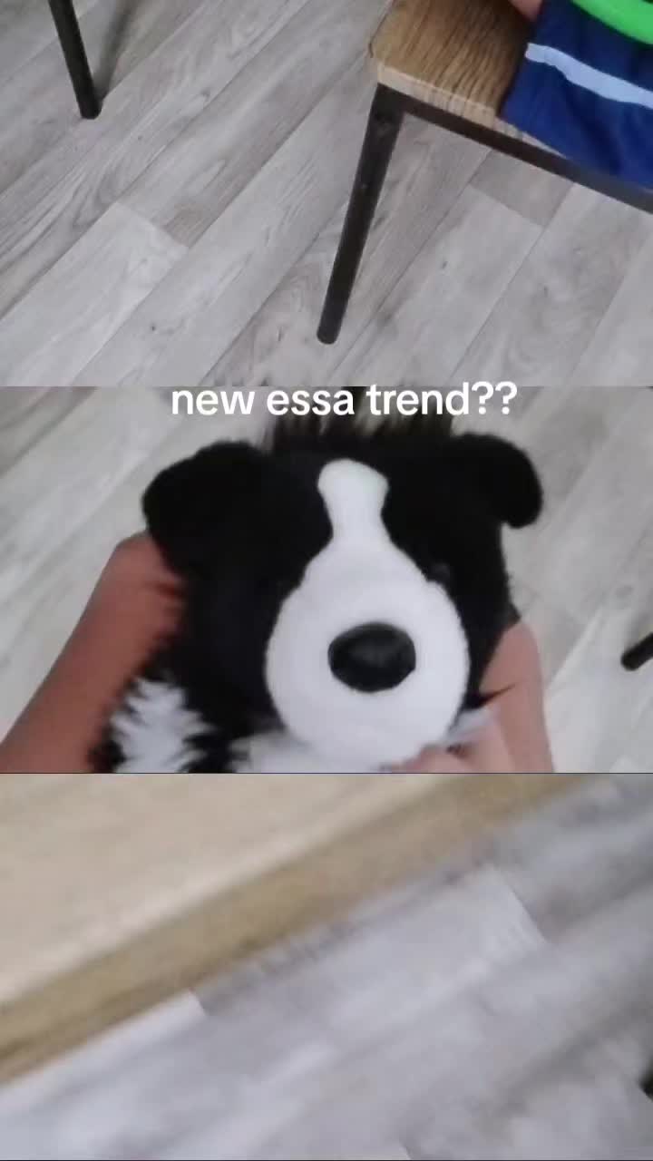 @ТГК @Jax_cat