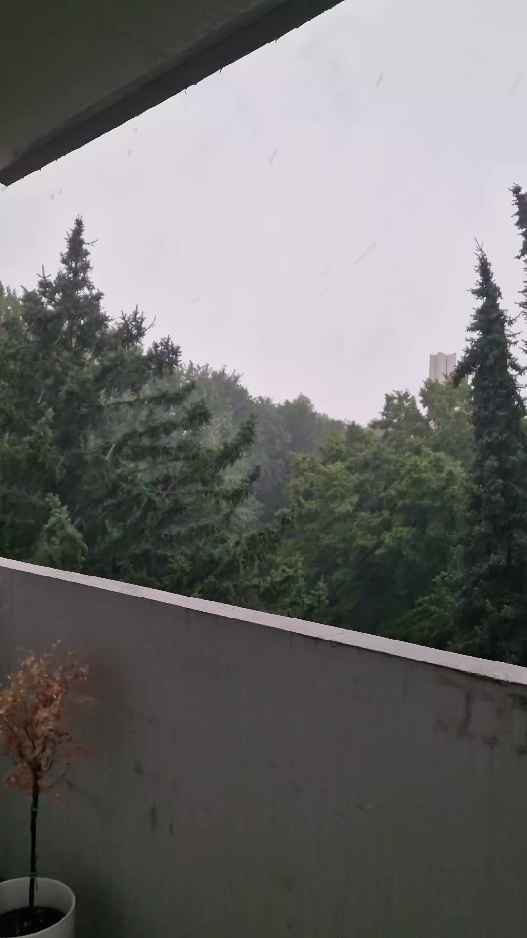 @Hüsi