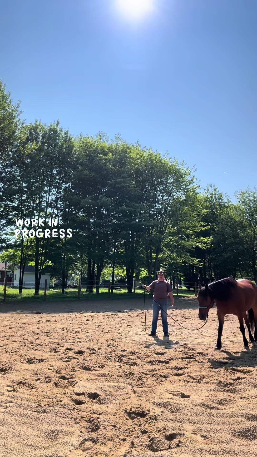 @🐴✨| M&M ranch |🐴✨