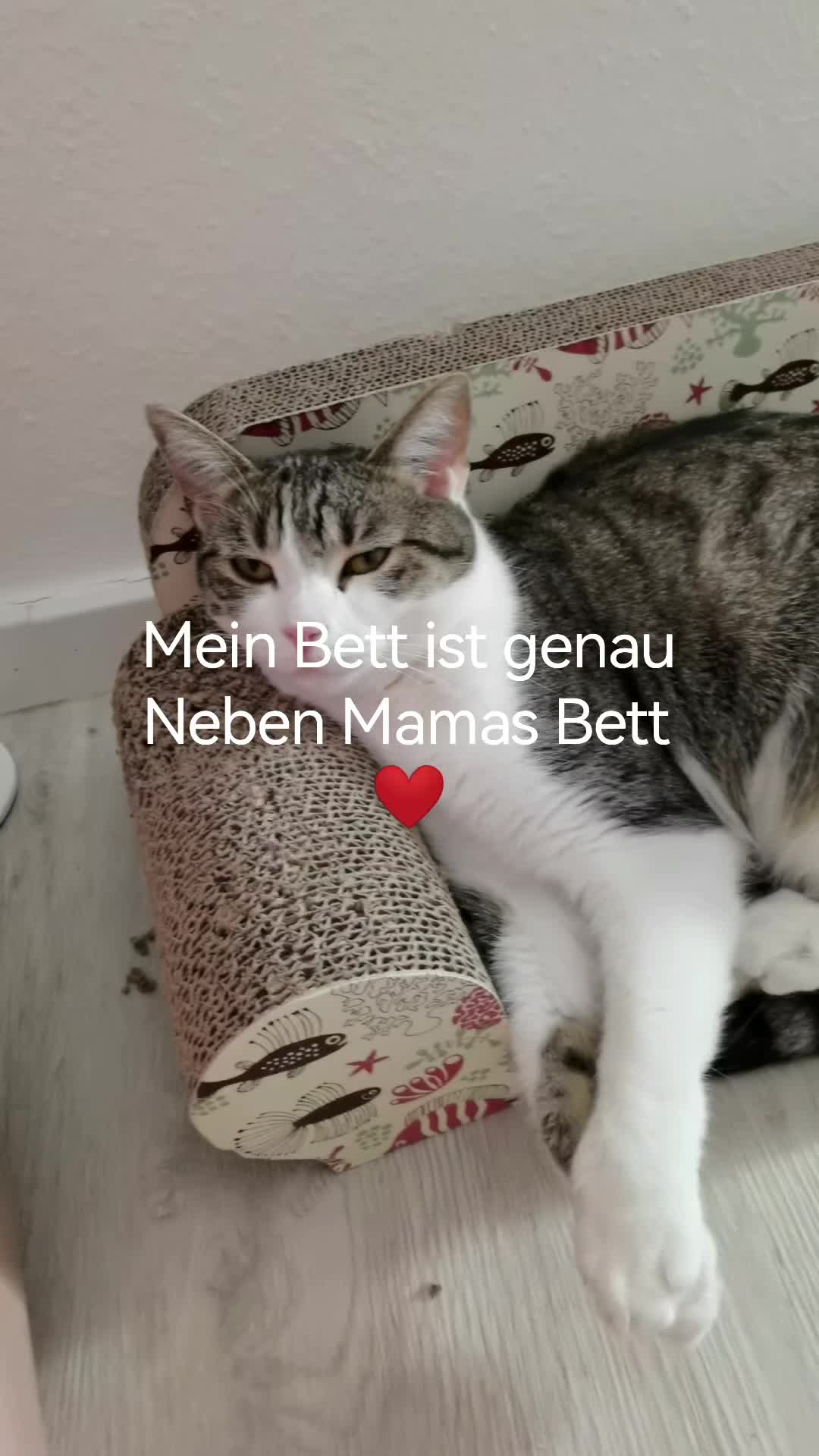 @juli🇩🇪🇺🇸🇷🇺