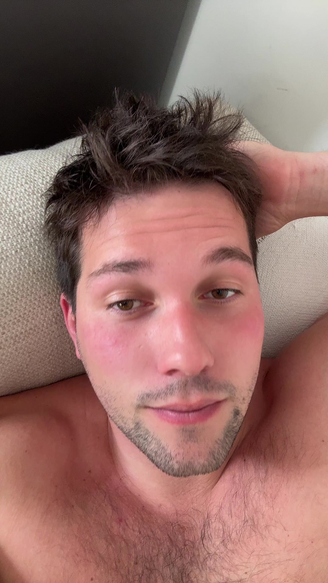 @lastfrenchie