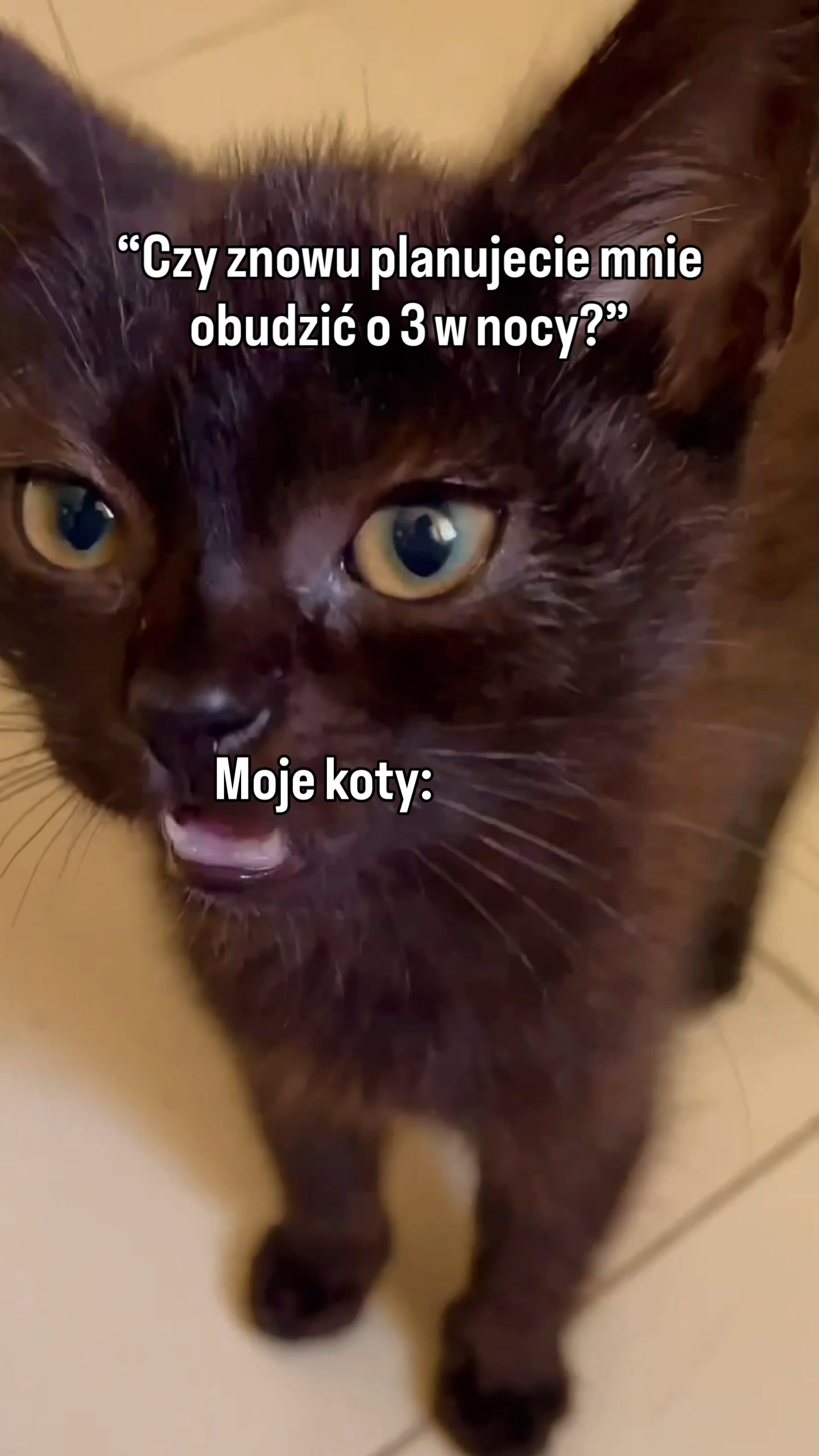 @IG: mrrrtasy
