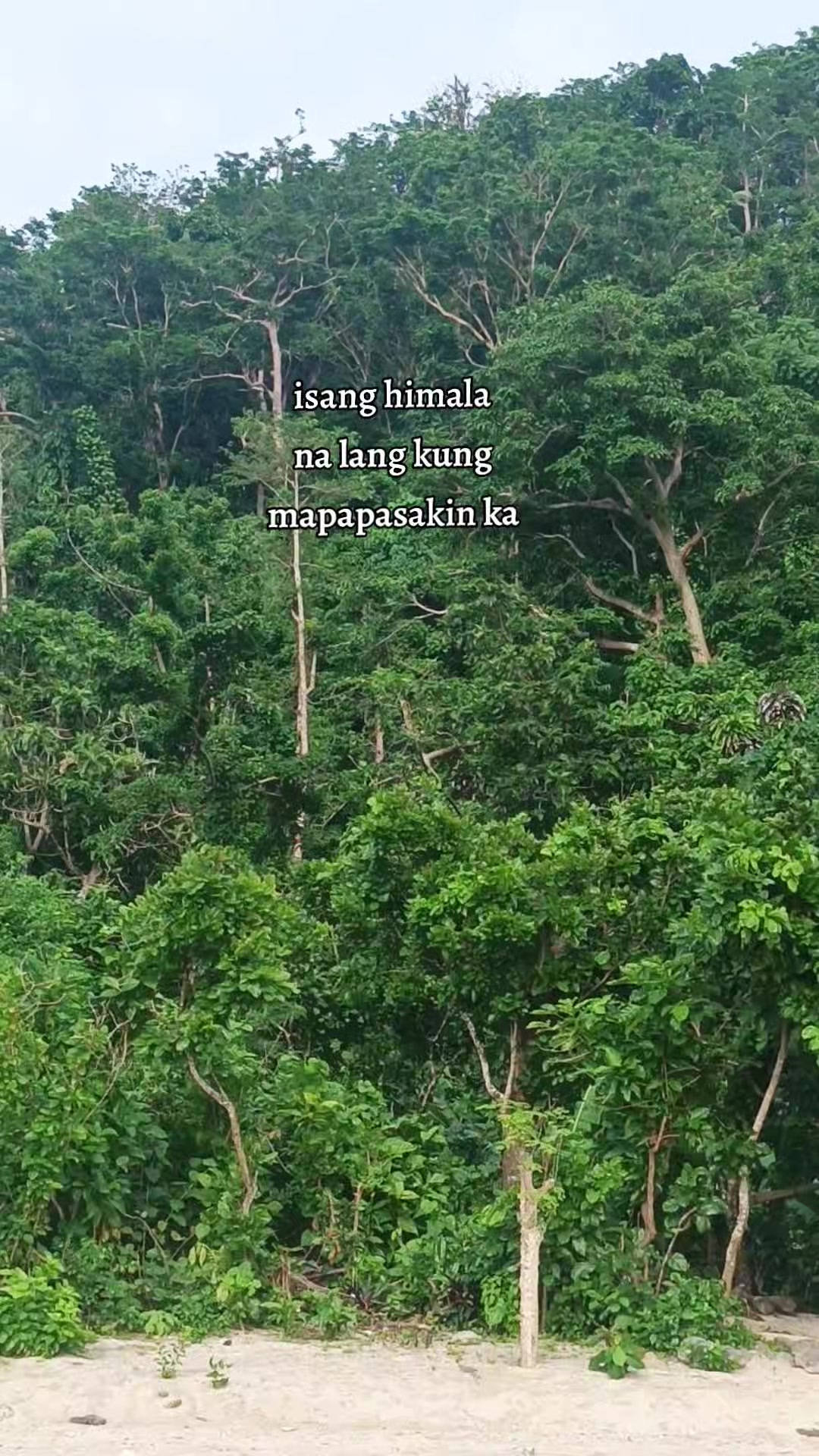 @Ms.dhang