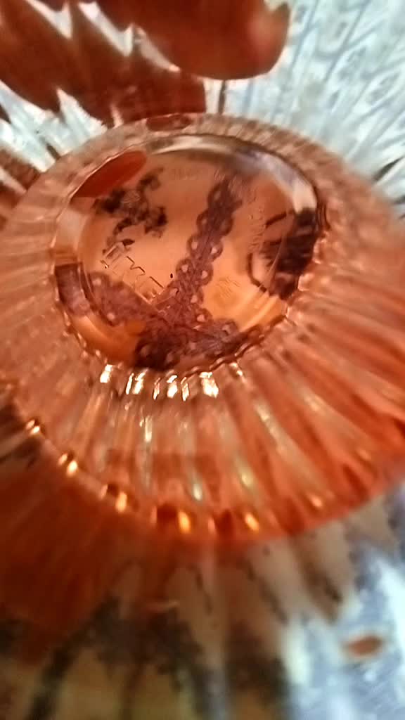 @vincenzoparasiliti2