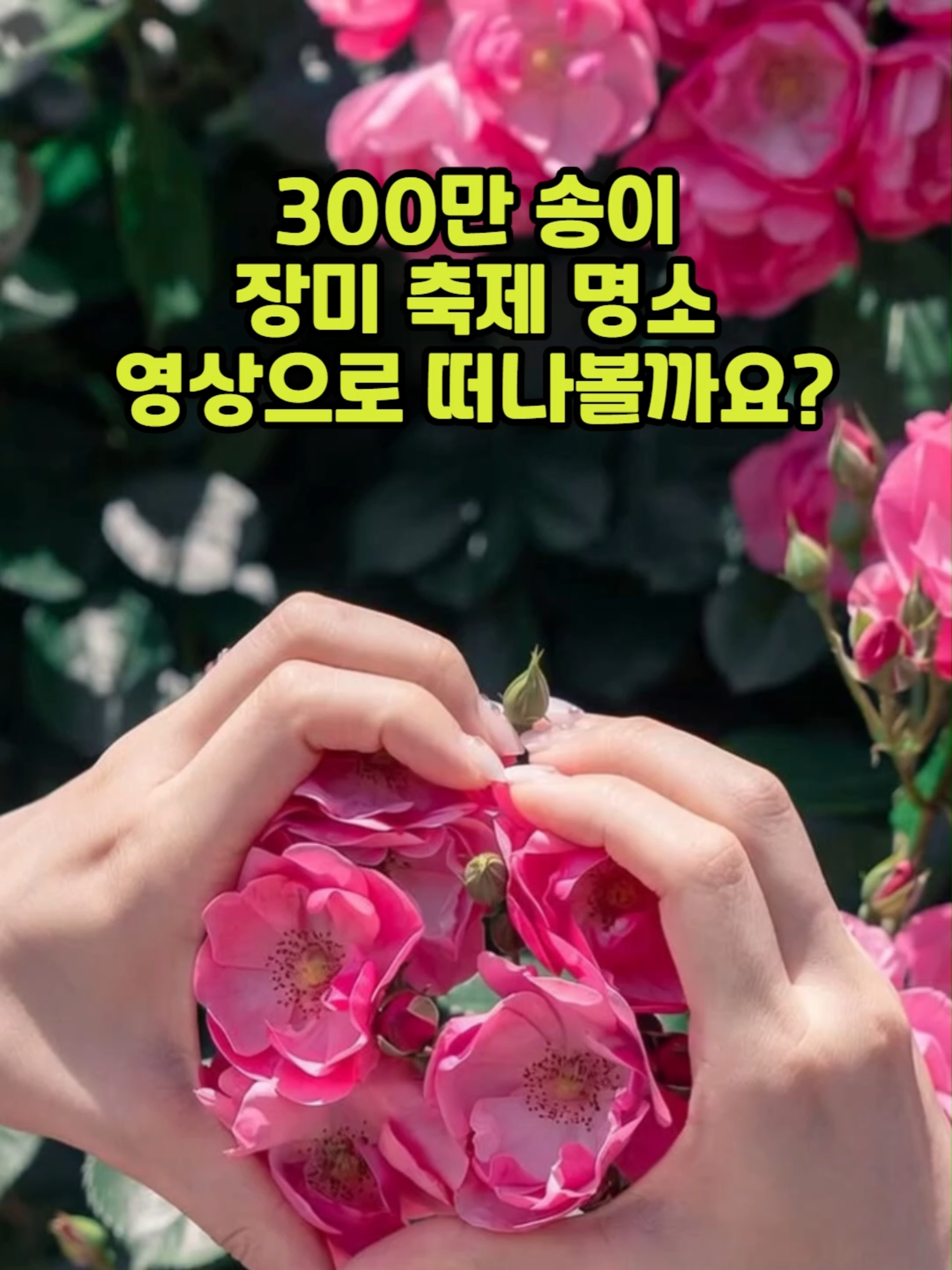 @꽃길