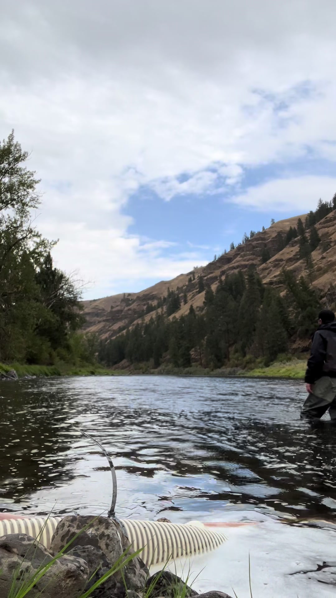 @inspectorskagit