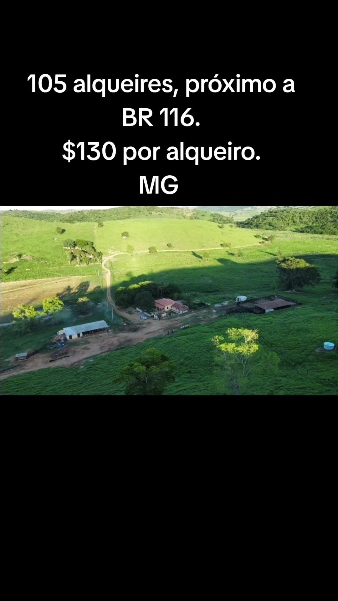 @O REI DAS FAZENDAS.