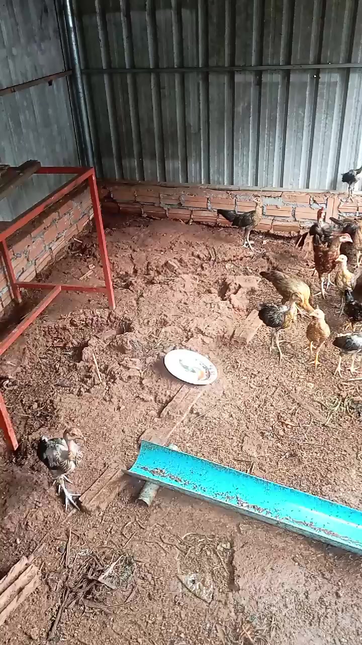 @វិរះចាវ ជាងដែក