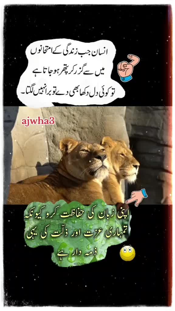 @shakir