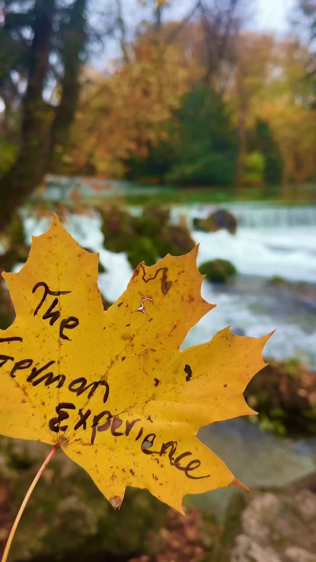 @thegermanexperience0