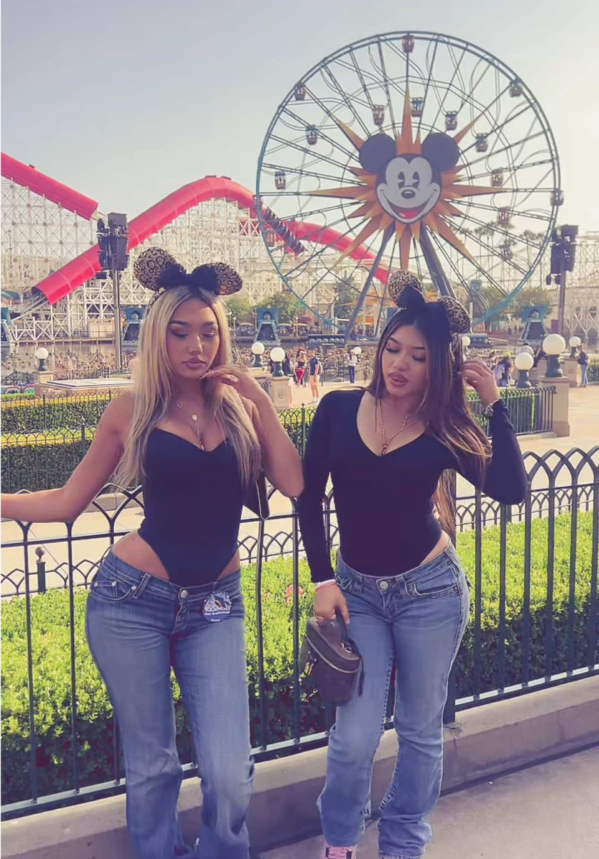 @BellaDimino