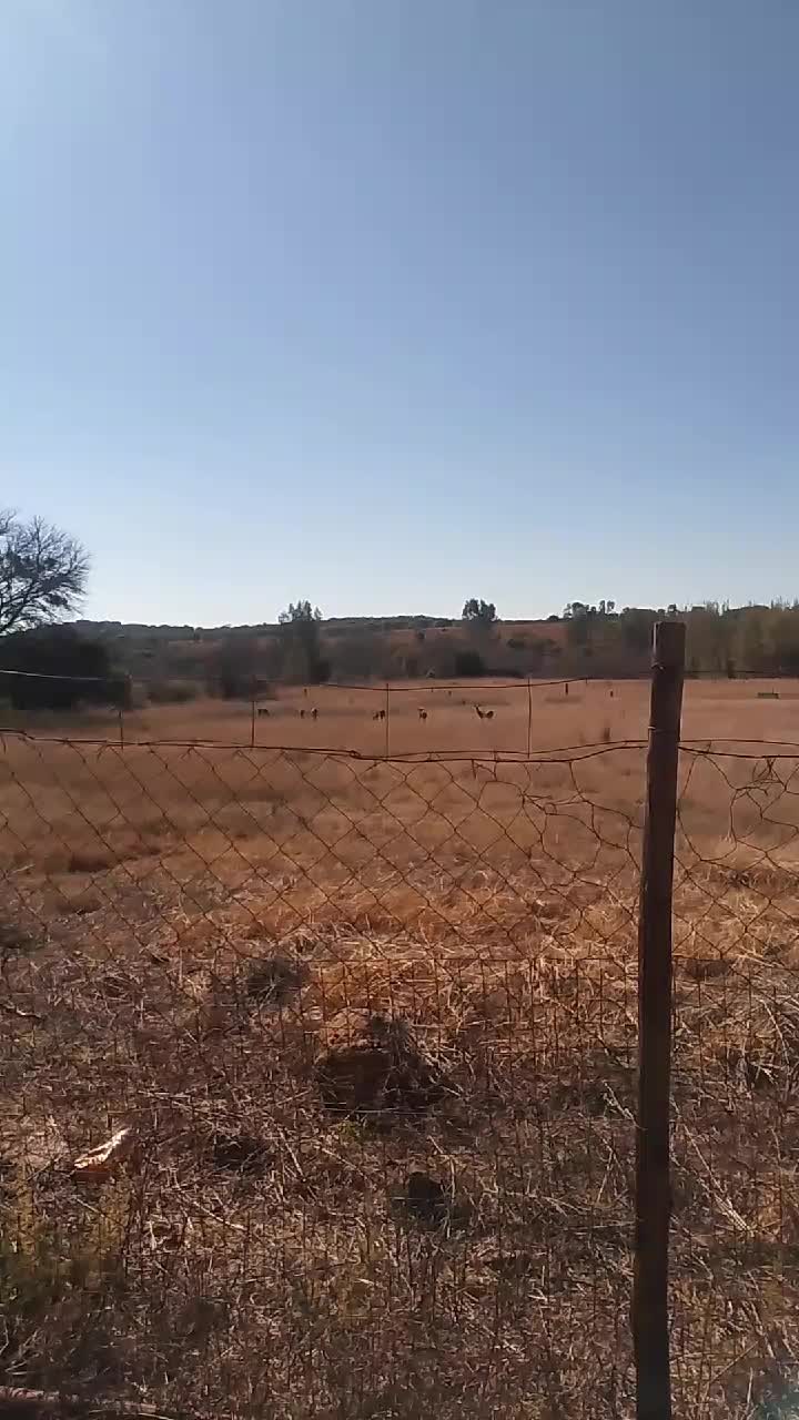 @Esté🇿🇦