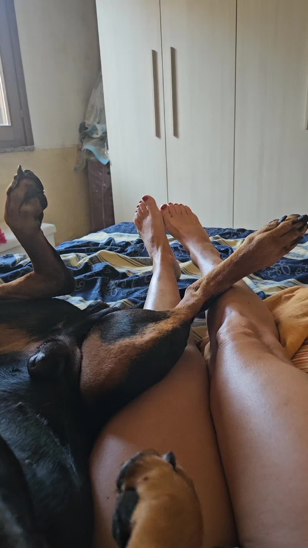 @La Bella Elabestia