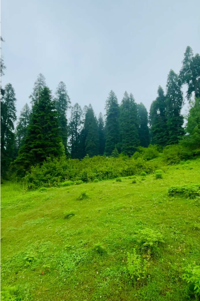 @BANJARA