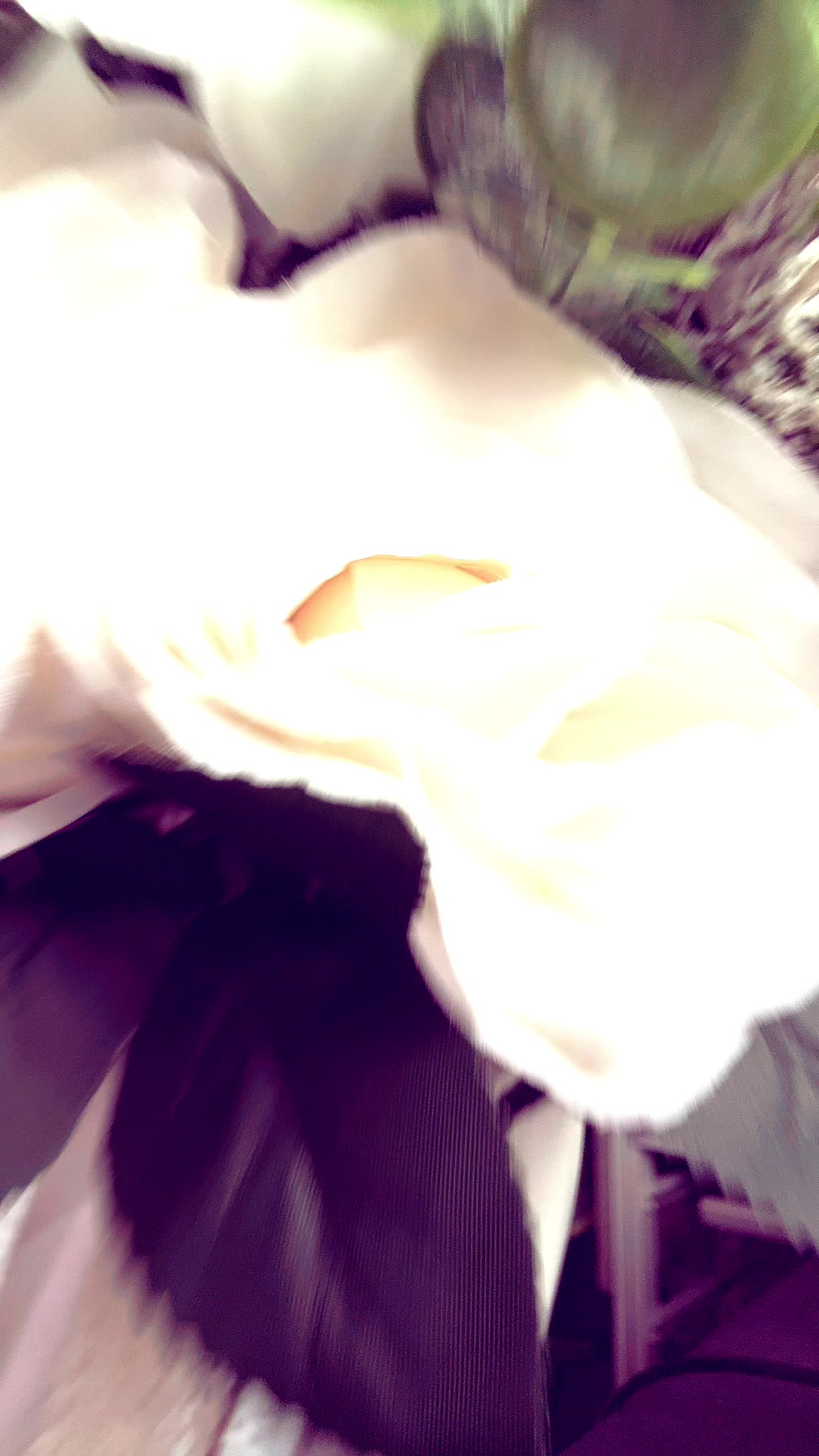 @Graziaditoma_