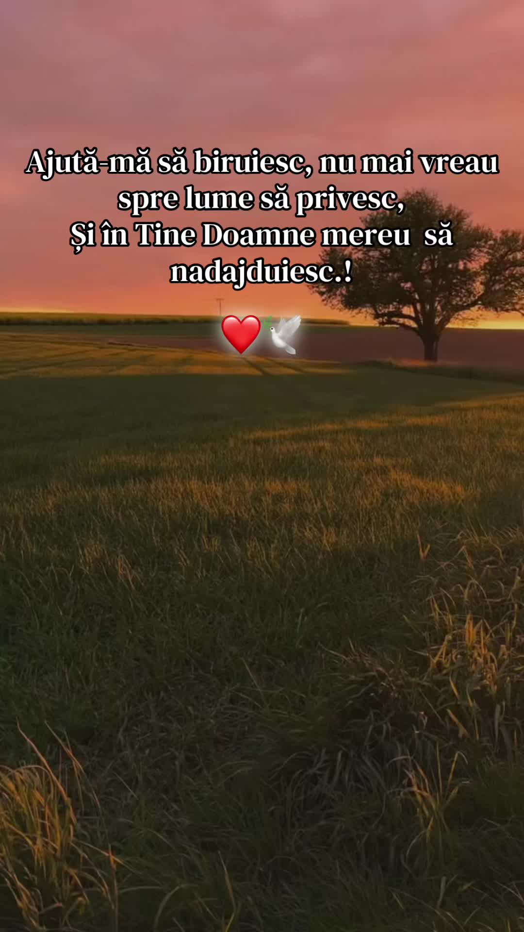 @🌸🕊️𝓡𝓮𝓫𝓮𝒄𝒂🕊️🌸