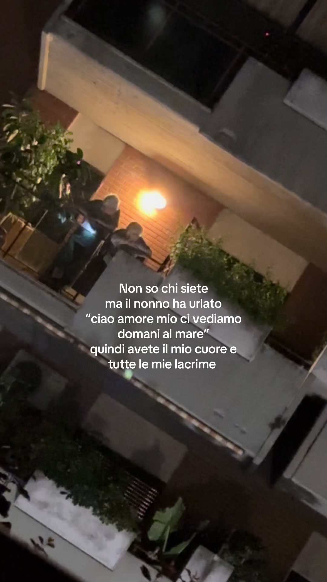 @Ludovica