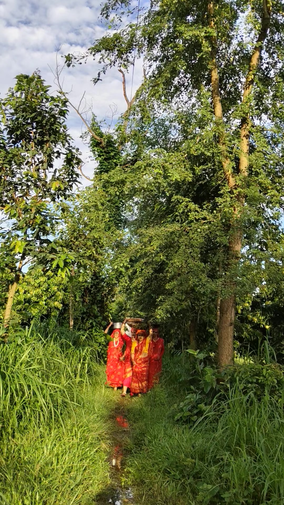 @नारा जोशी