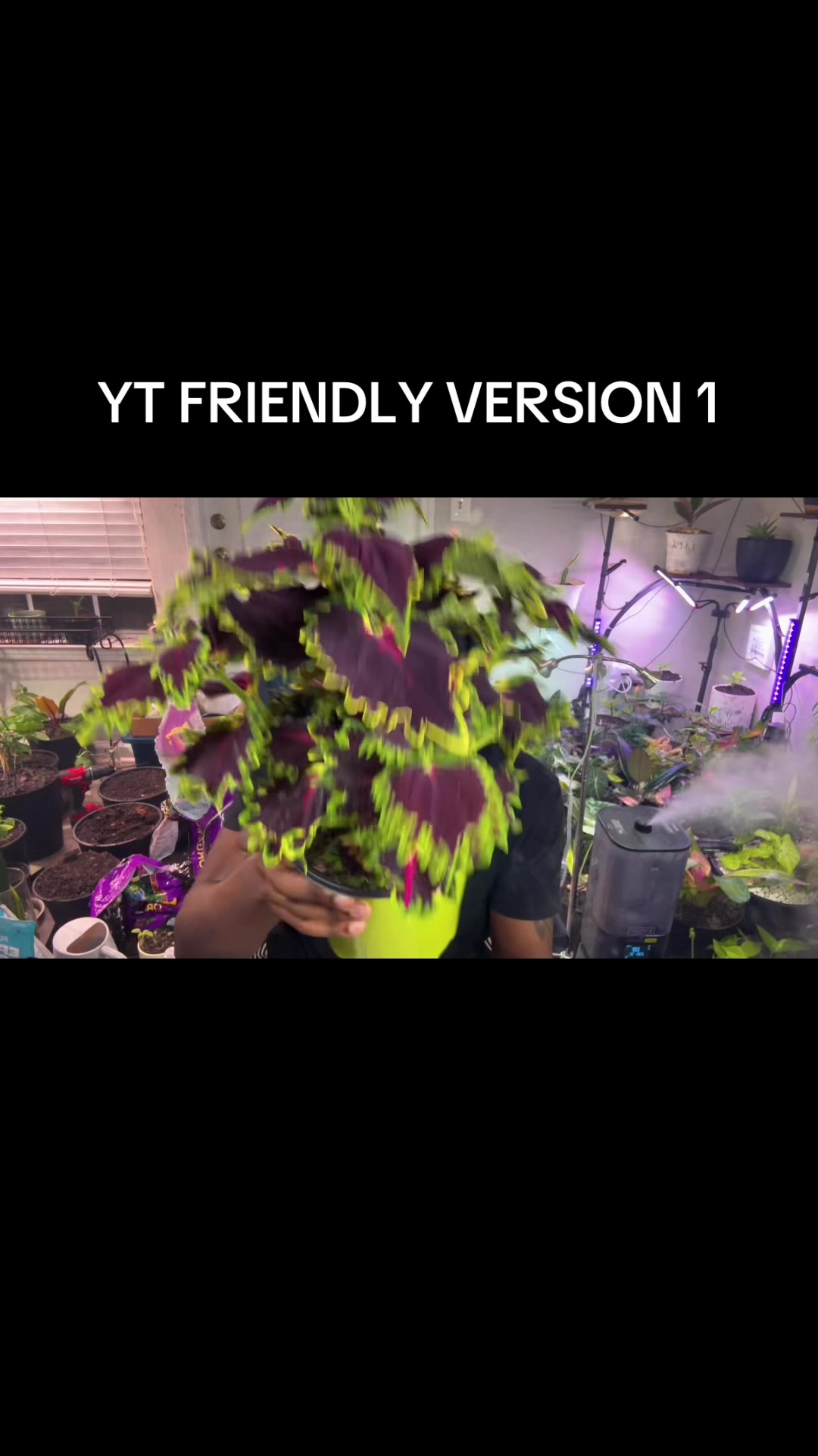 @Plant daddy Sir