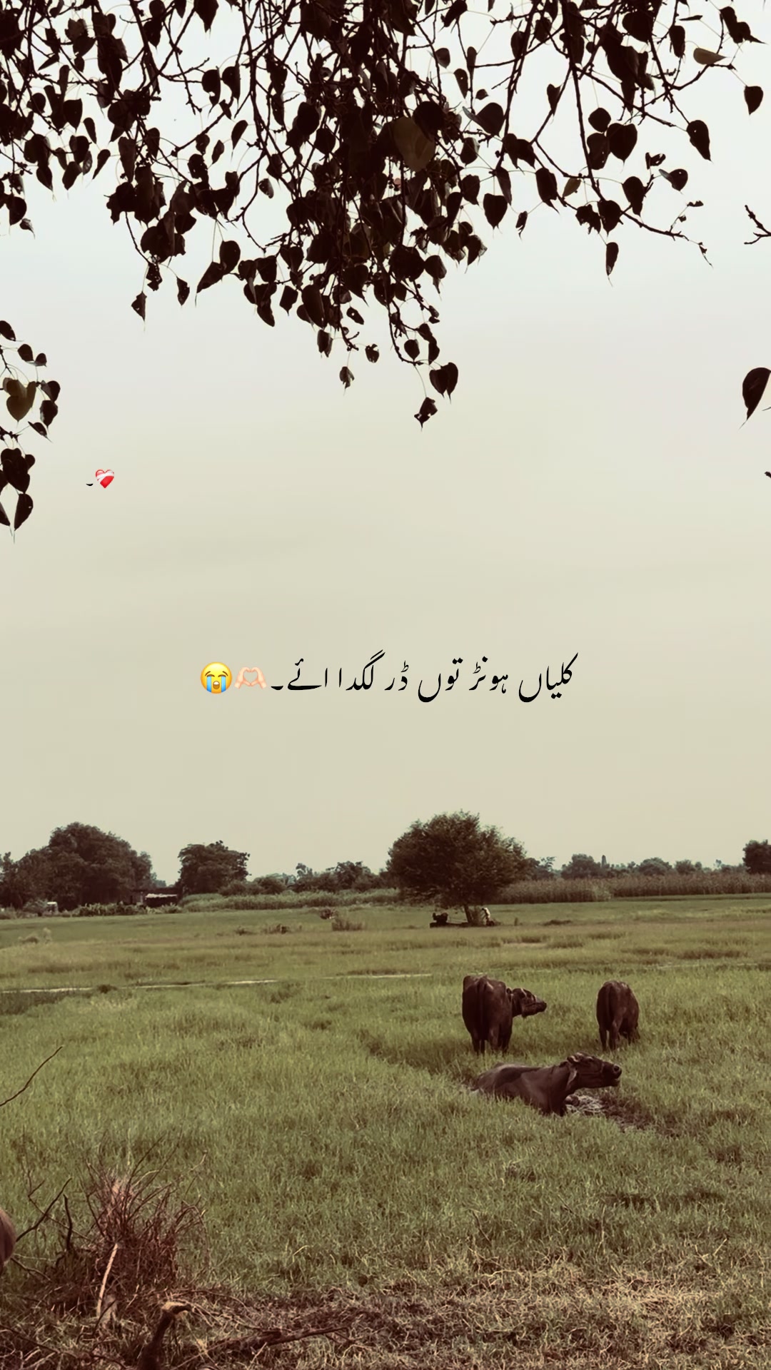 @💔۰