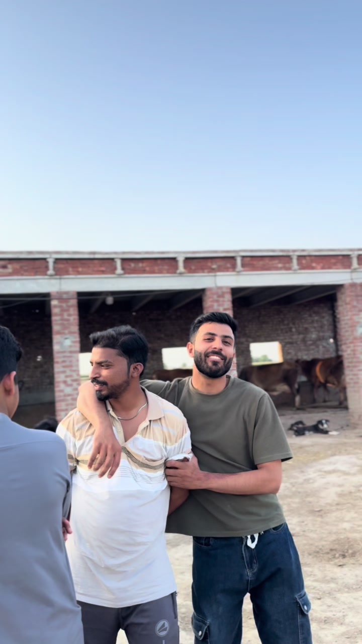 @👑 HammaD Ali 👑