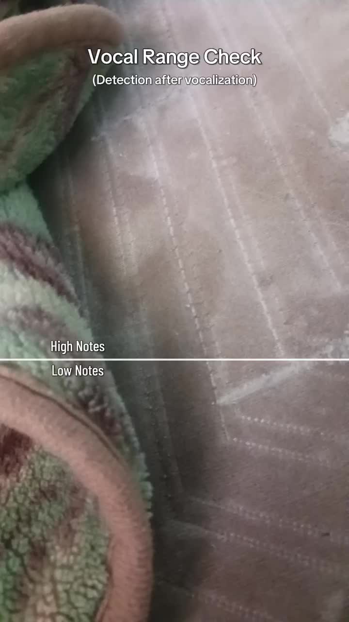 @NameVR