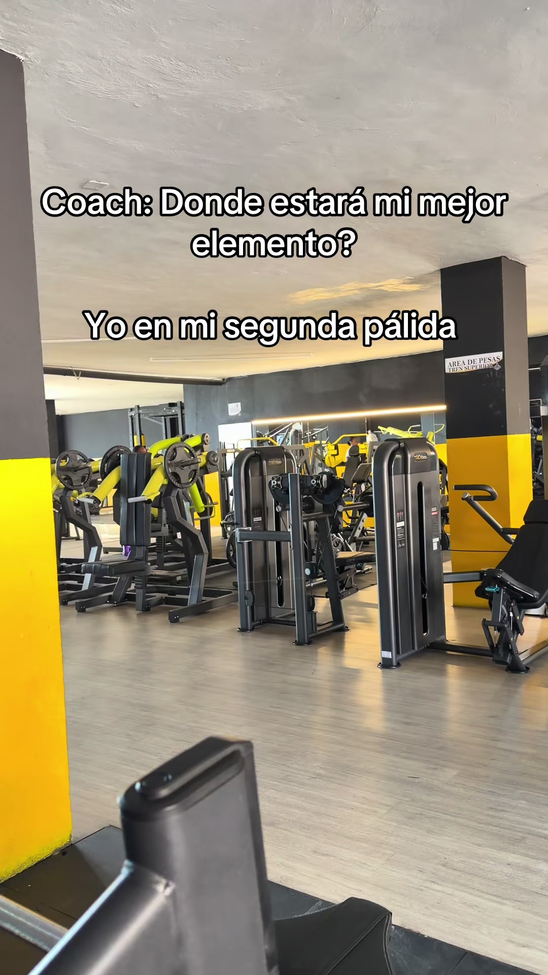 @Paulette