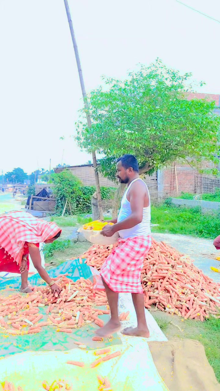 @🇳🇵🇳🇵Shankar Gami95🇳🇵🇳🇵