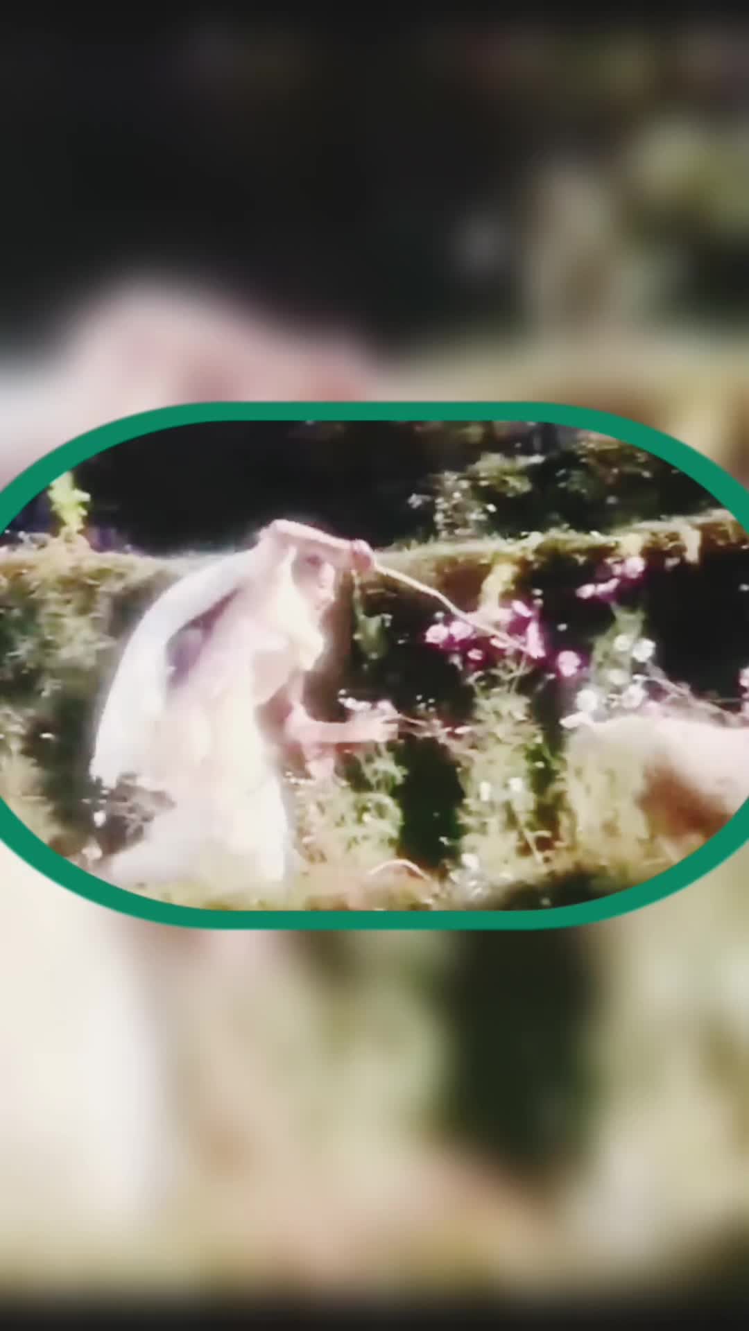 @𝟿𝟶s 𝐒ᴏɴɢs