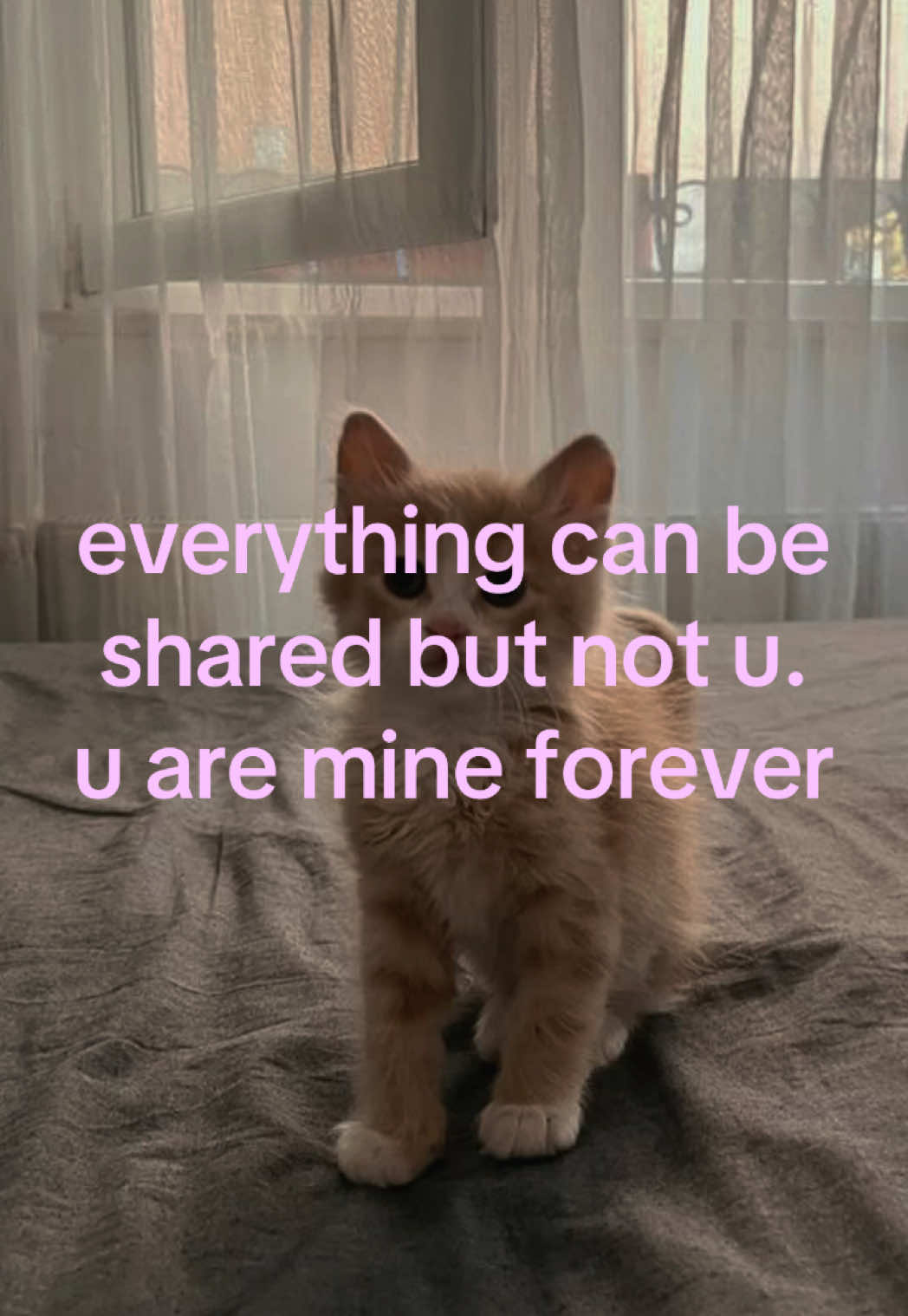 @caughtafeeling