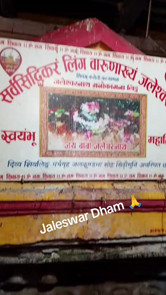 @Chanda Shah❤