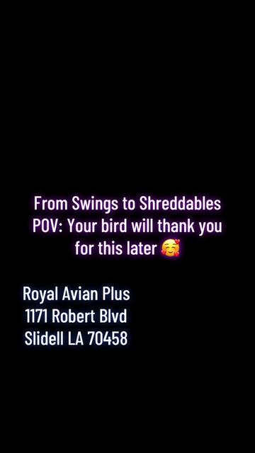 @Royal Bird Lady 💙