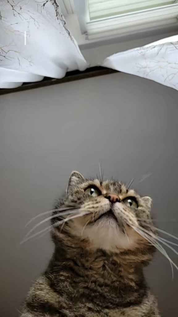 @😻Ekipa Świrka 😻
