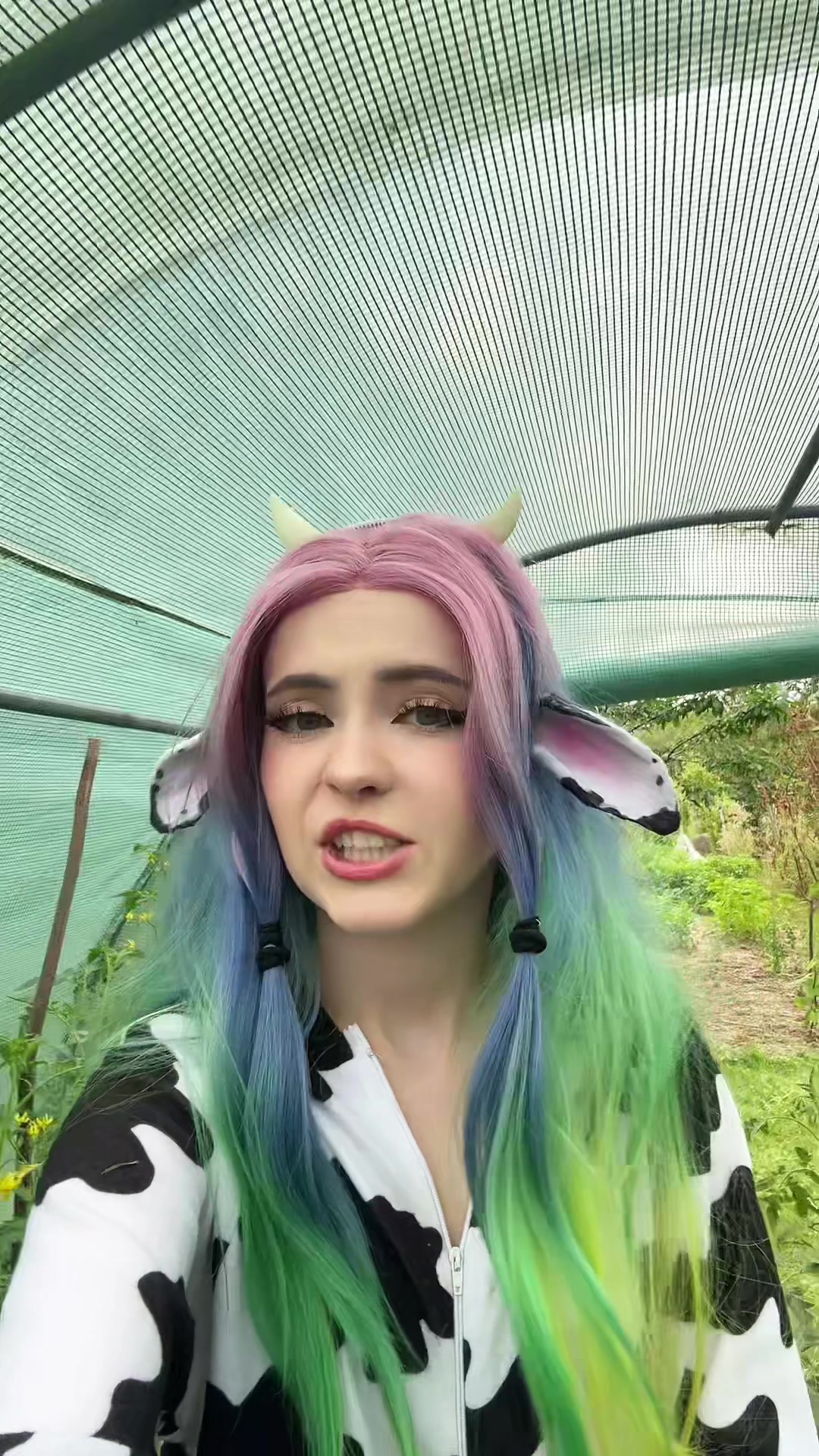 @niaruko_chan