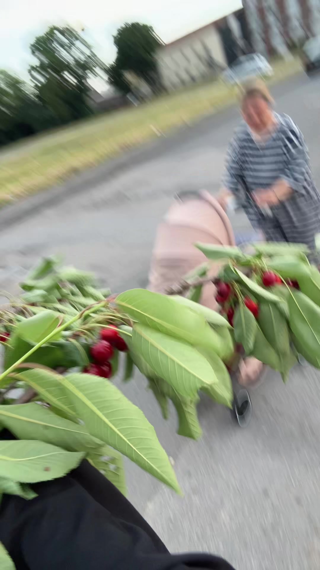 @ᑕEᗰᖇE