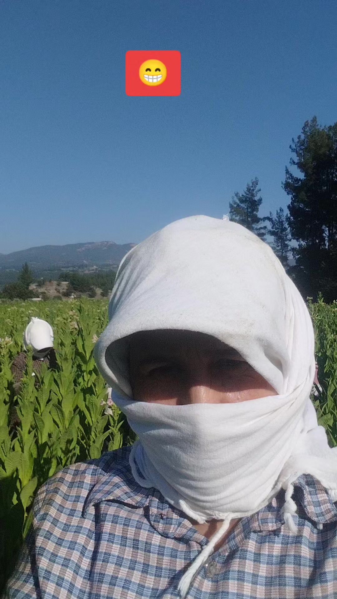 @☺️Farmasi Cemile damgacı🐟