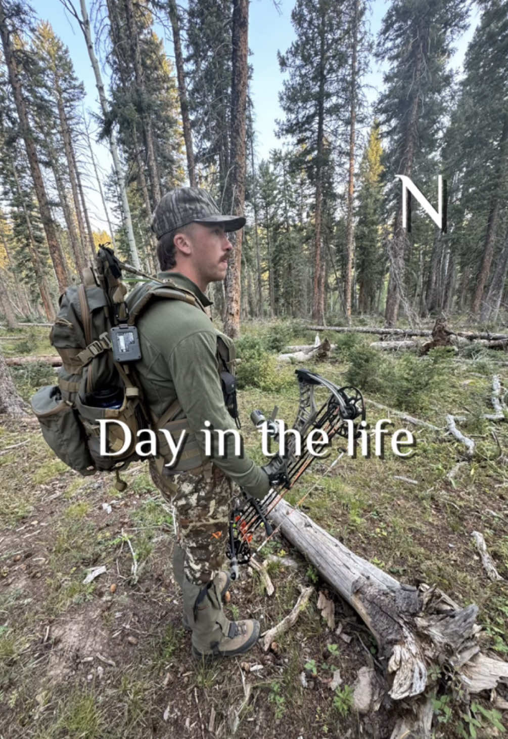 @thedailytn