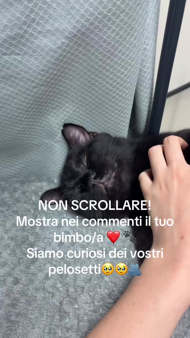 @Vittoria Cobianchi ☾