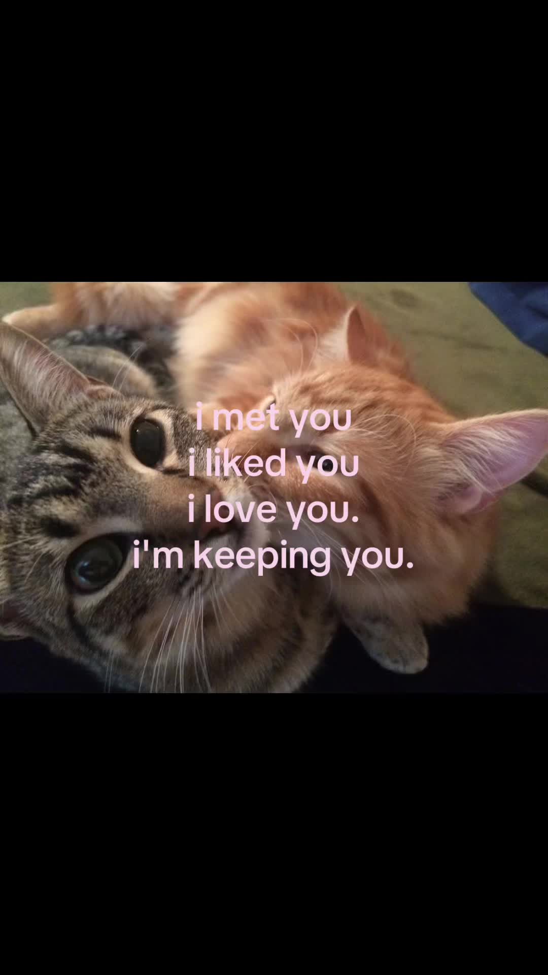 @rwnd