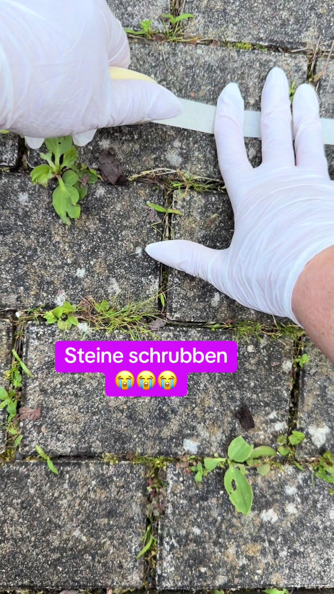 @Braunici
