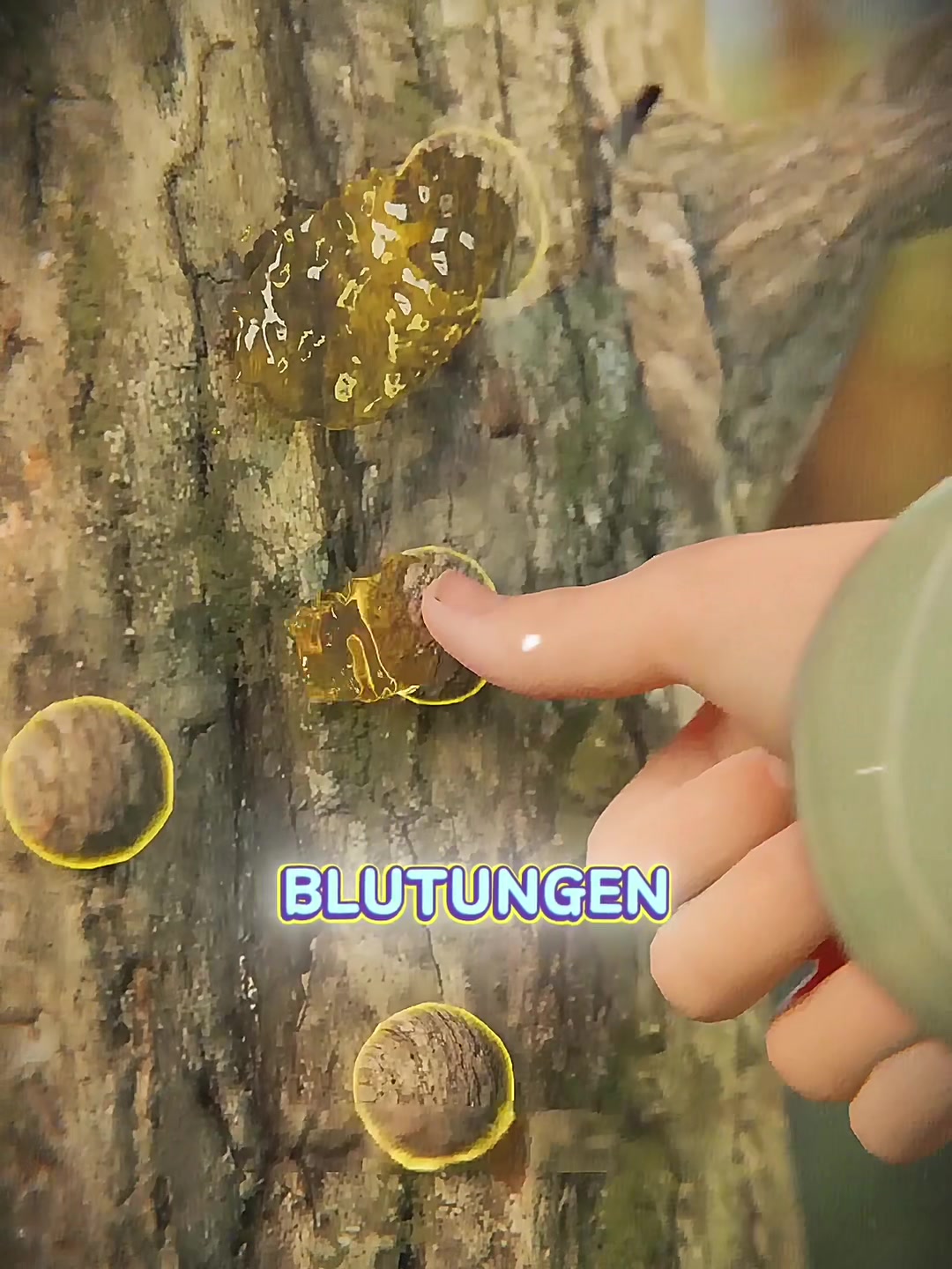 @wissensenergie