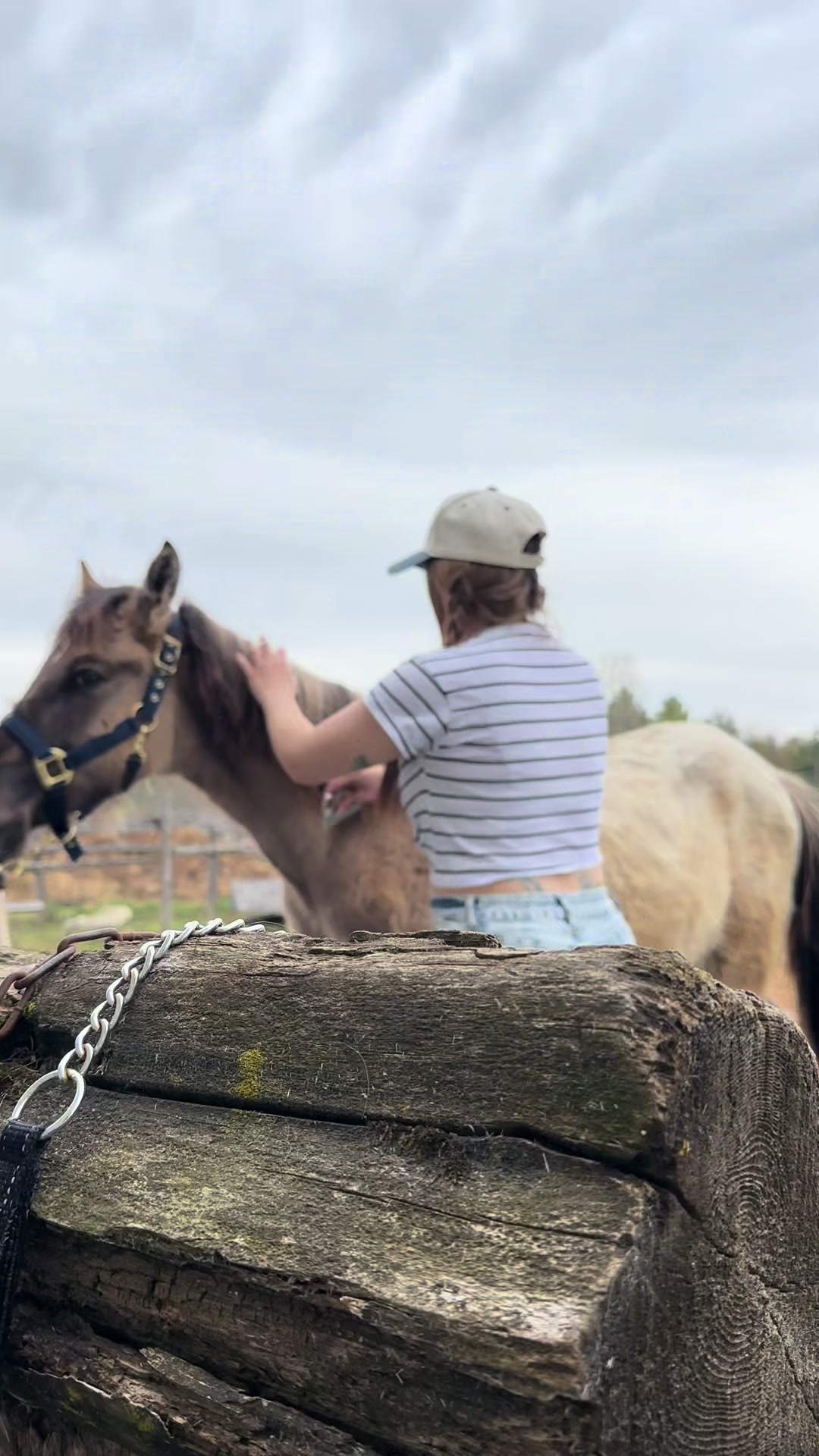 @driven.by.marie